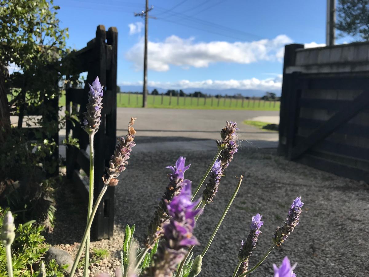 Villa Lavender53 Martinborough Exterior foto